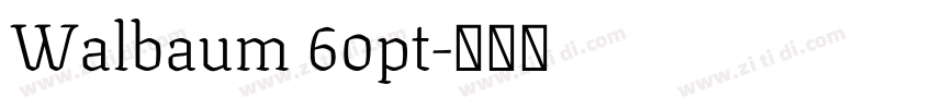 Walbaum 60pt字体转换
